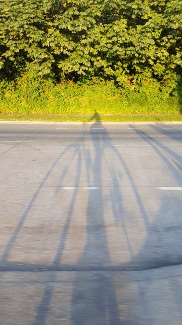 Oktoberfest, swimming, theater, music, money – and more – for your West Seattle Friday