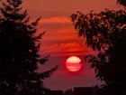 Where your Red Sun Photos at?
