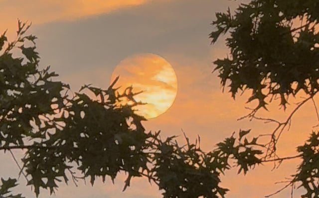 Hazy sun through wildfire smoke