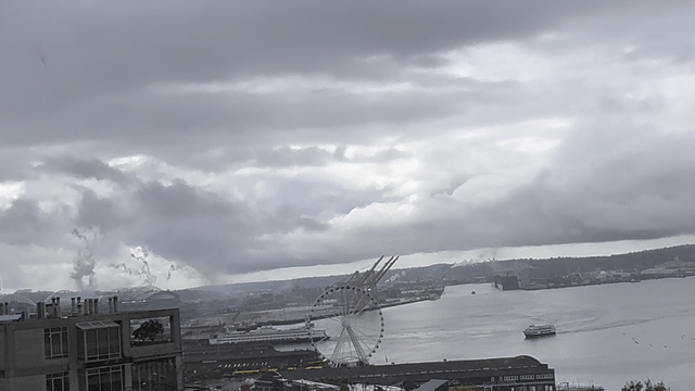 This bird flew outta the clouds today: