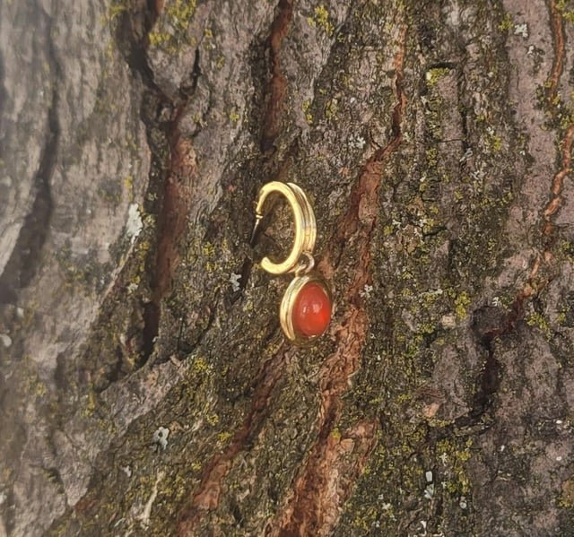 Found Earring in Central District