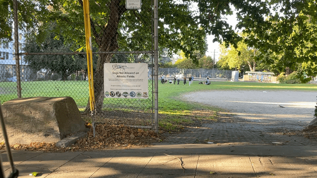 Once again, this city’s dog owners have a reading comprehension problem (Rogers playground, Eastlake).