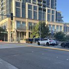 Spotted in Bellevue today!