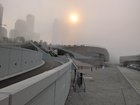 Foggy Waterfront