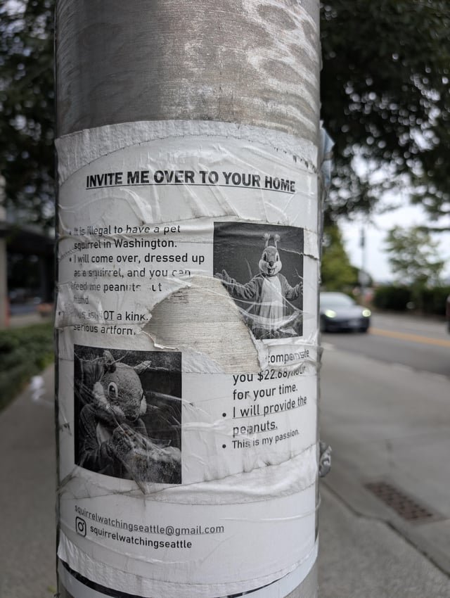 Seattle is so weird. I love it here