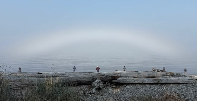WEST SEATTLE SATURDAY: 31 notes