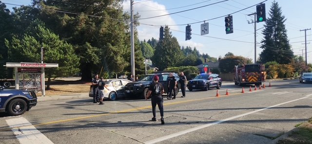 FOLLOWUP: Seattle Police lieutenant explains how she stopped driver accused of targeting pedestrian