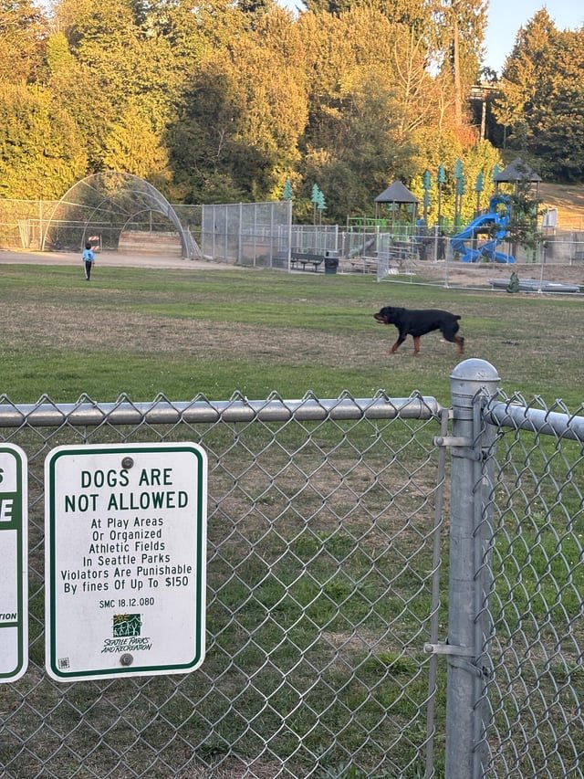 Name a more iconic Seattle duo
