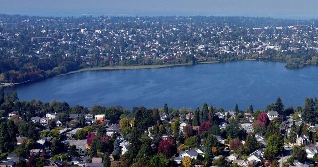 Toxic algae found in Seattle’s Green Lake: Dogs, people should stay out