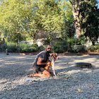 Beware this vicious dog in Denny Park
