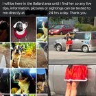 Friend Had Their Dog And Vehicle Stolen