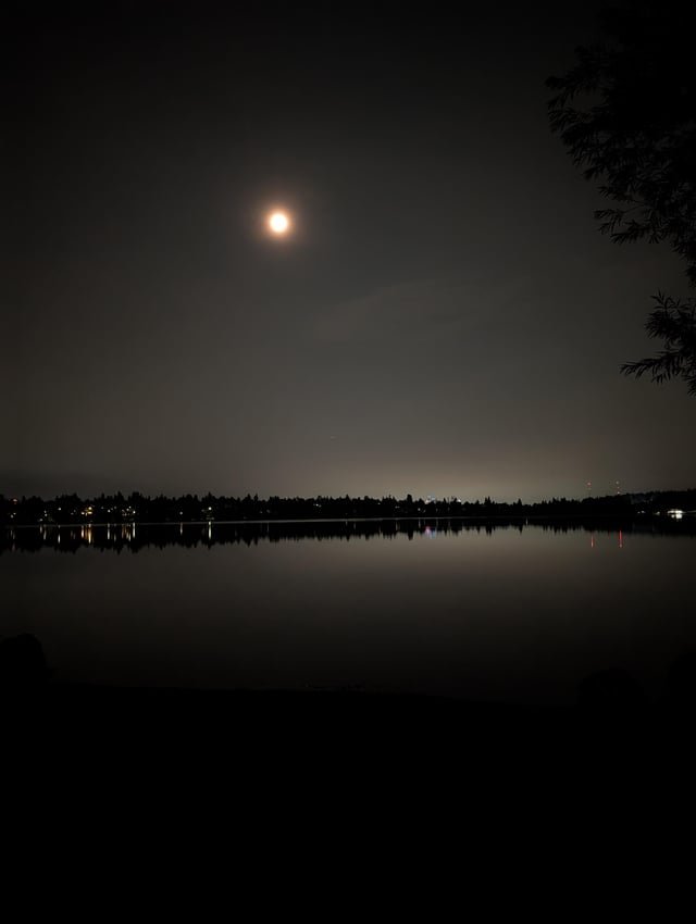 Moon over green lake park.