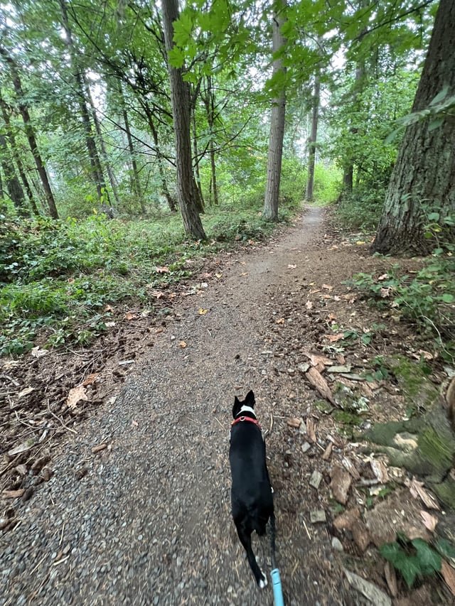 Shoutout to amazing local PNW parks