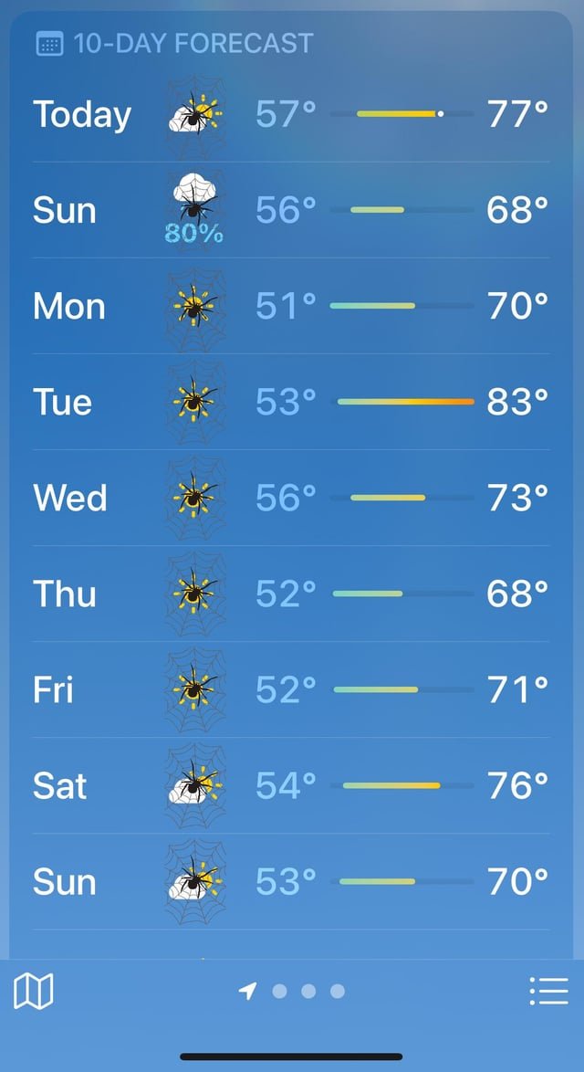 Weather Forcast 🕷️
