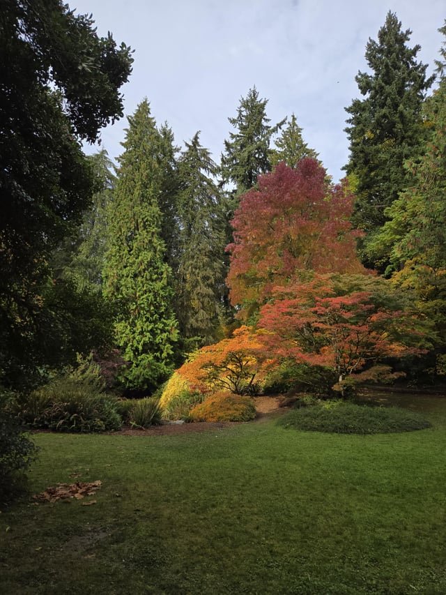 The Beautiful Washington Park Arboretum