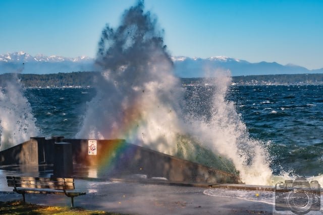 Surf’s Up! Alki Beach