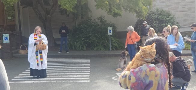 ‘We share the Earth with them’: Blessing of the Animals in West Seattle