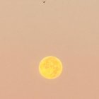Spooky moon this morning!