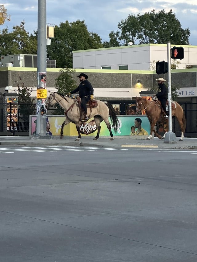 Horses in CD?