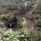 Discovery Park