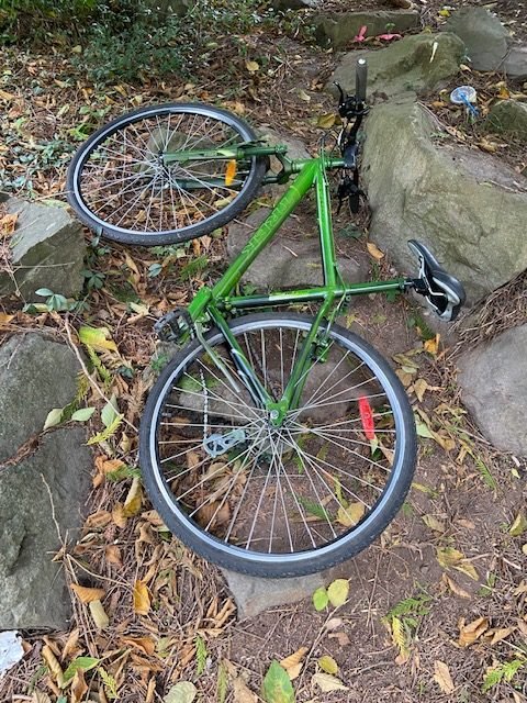 READER REPORT: Abandoned green bicycle