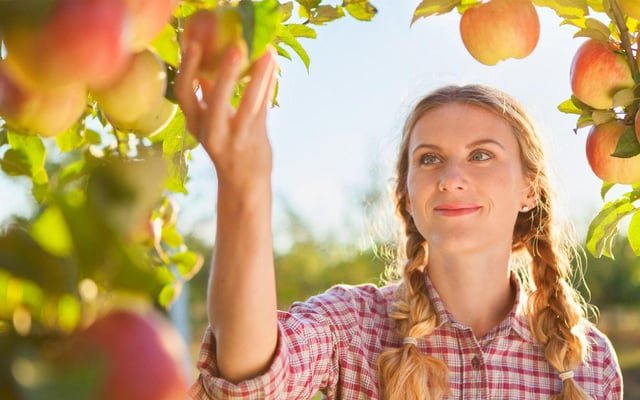 5 Fun Places to Go Apple Picking This Weekend Because ICE Scared Off All Their Farmworkers