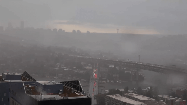 Lighting strikes near boat docks on SLU