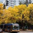 Fall in Seattle