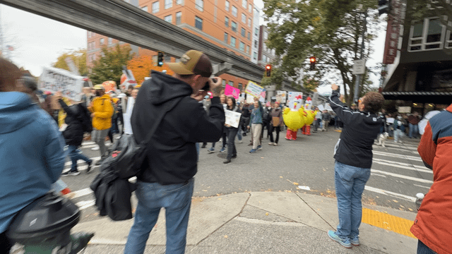 Seattle brought about 100,000 + to the streets to protest the war, our healthcare system and our government not being funded, and medical privacy/women’s rights and more. As a visitor, I couldn’t believe the turnout. 🐶❤️
