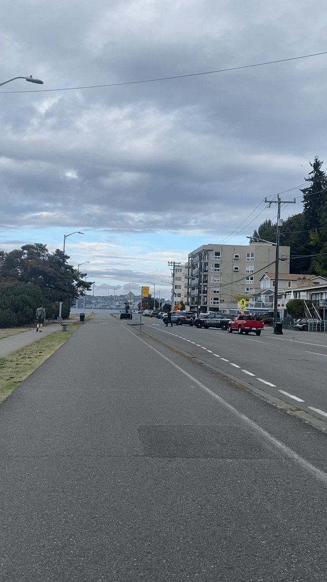 Whats going on on alki