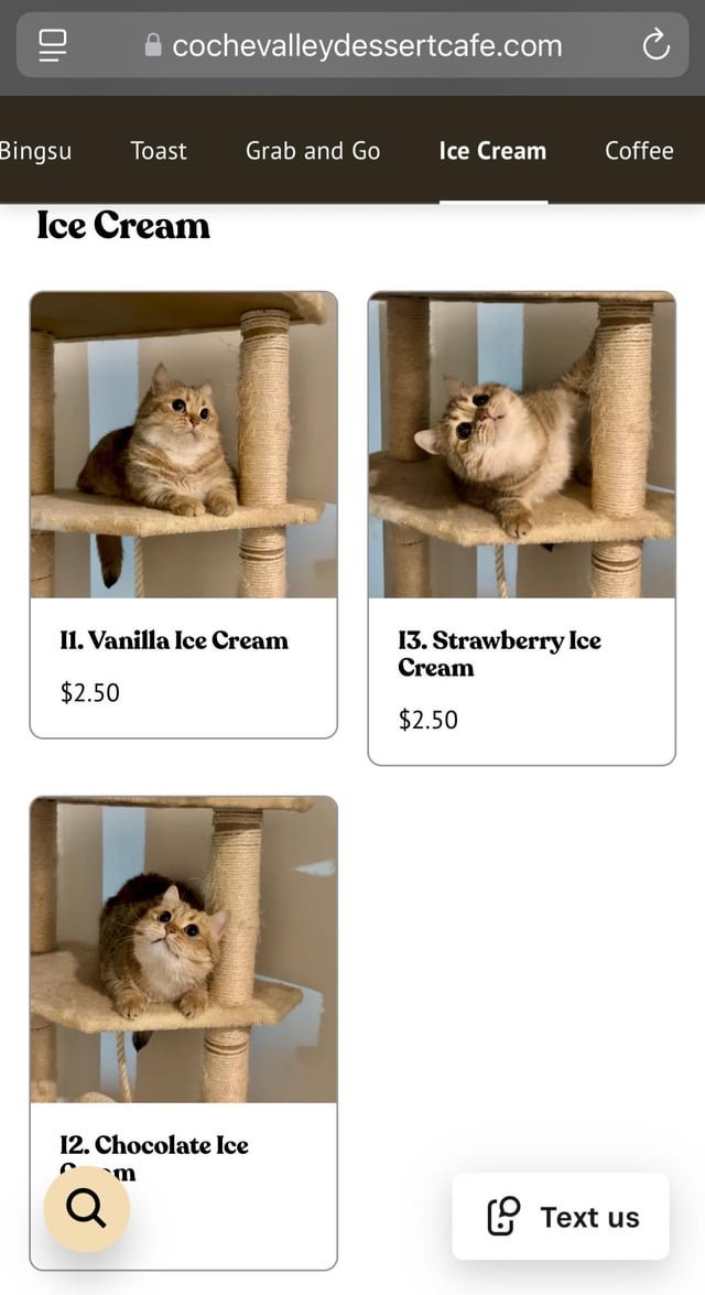 Has anyone ordered the ice cream at Coche Valley?