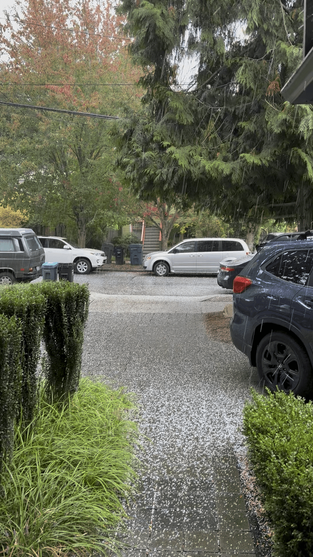 Hail No!