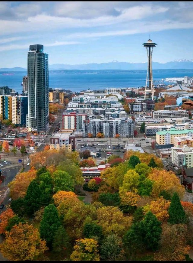 Tis the Season for Magic in Seattle
