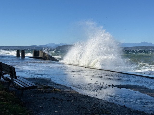 WEST SEATTLE WEATHER: Wind and waves at Alki
