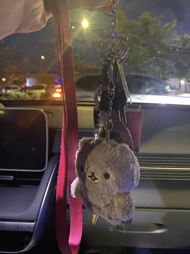 Found keys in Downtown Seattle
