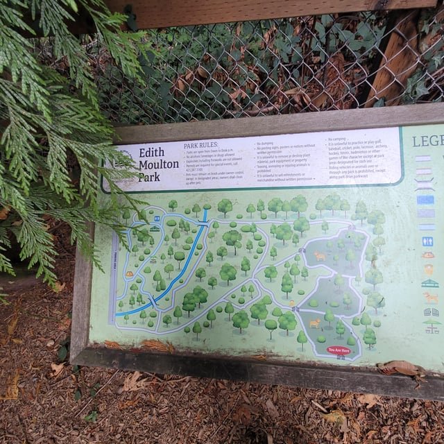 My absolute favorite dog park