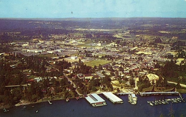These Fascinating Vintage Photos Will Take you back to the 1960s Bellevue