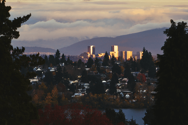 Bellevue From Phinney