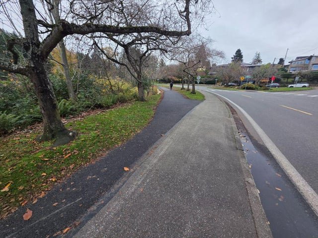 The only sidewalk on Lake Washington Blvd that got repaved this year was the segment right in front of Bruce Harrell’s house.