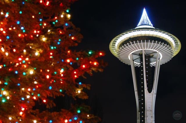 Grateful to Share This City With You All This Thanksgiving 🌲