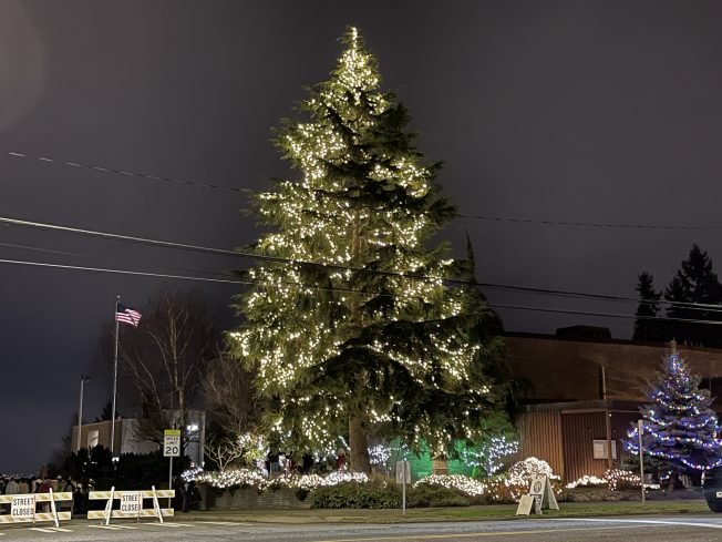 COUNTDOWN: 1 week until 2025 ‘Light Up the Night’ at city’s highest-elevation Christmas tree