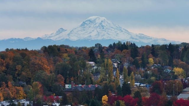 Rumors of Mount Rainier earthquakes are actually ice buildup on one monitoring station, officials say