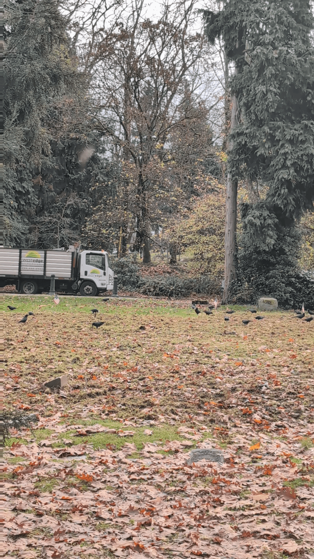 Murder at The Grand Army of the Republic Cemetery