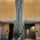 World’s largest Western red cedar (and WA’s largest tree) in mosaic form at SeaTac airport