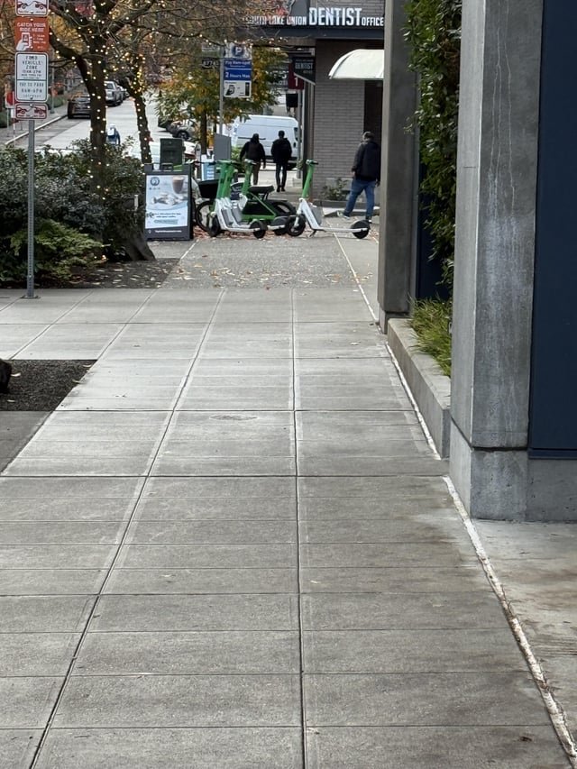 Every day in South Lake Union