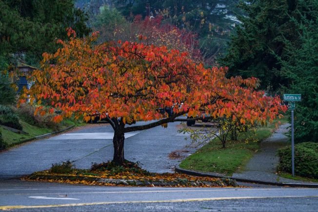 Explorer West MS open house, Fauntleroy Art Show finale, concerts, food drives, ‘Science Party,’ more for your West Seattle Sunday
