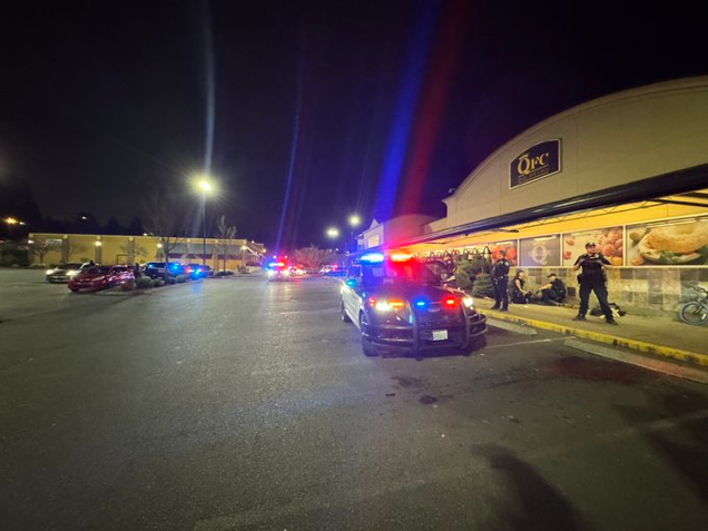 WEST SEATTLE CRIME WATCH: Stolen bike recovered, suspect arrested; about that air compressorl..