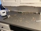Rat infested home. What are my friend’s rights as a tenant?