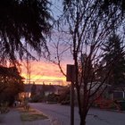 Beautiful sunrise this morning