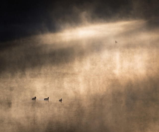 I love a foggy, cold morning (OC)